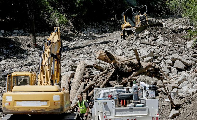 Frye Fire recovery on Mt. Graham