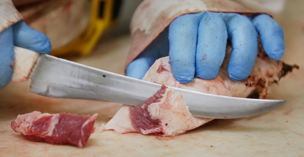 University of Arizona Food Product and Safety Lab