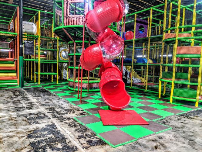 wild katz jaguar jungle (copy)