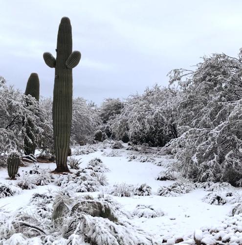 Snow in Sahuarita