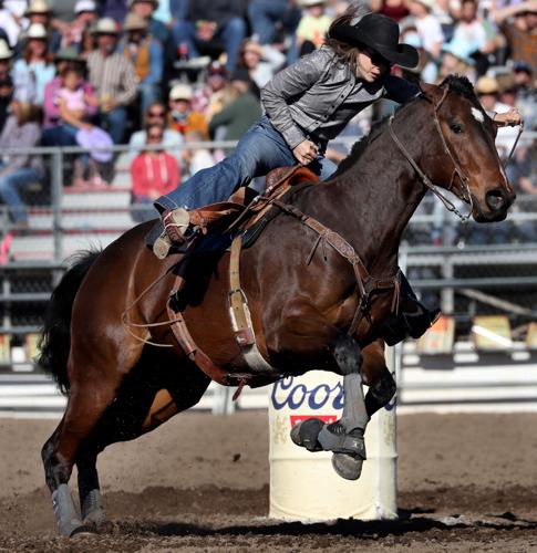 La Fiesta de los Vaqueros Tucson Rodeo