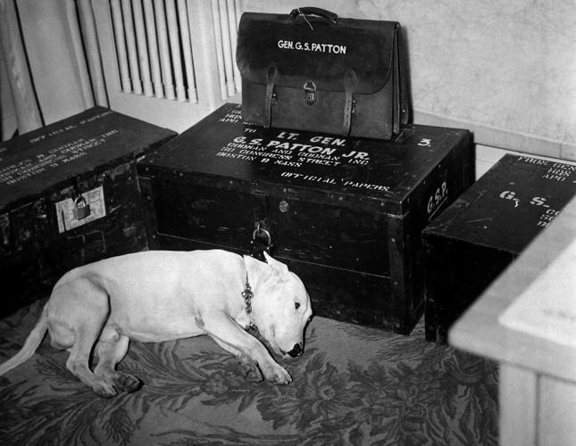 Patton-s-Dog-Willie.jpg