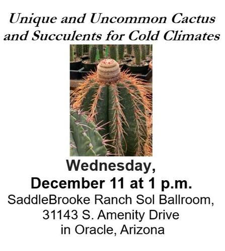 Succulents.jpg