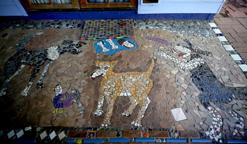 Pima County Master Gardeners