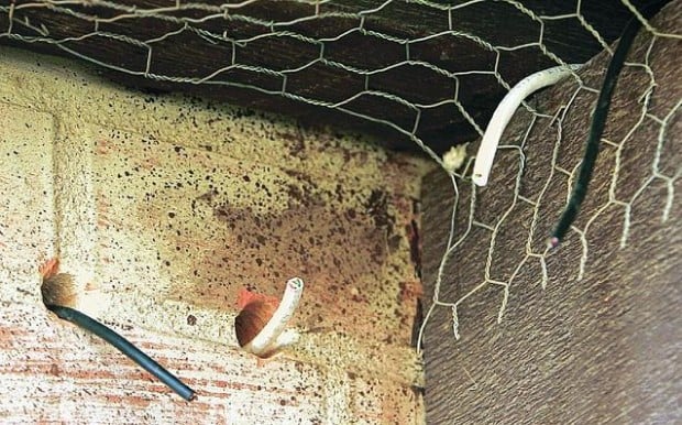 Burglars swipe St. Jude statue from church  