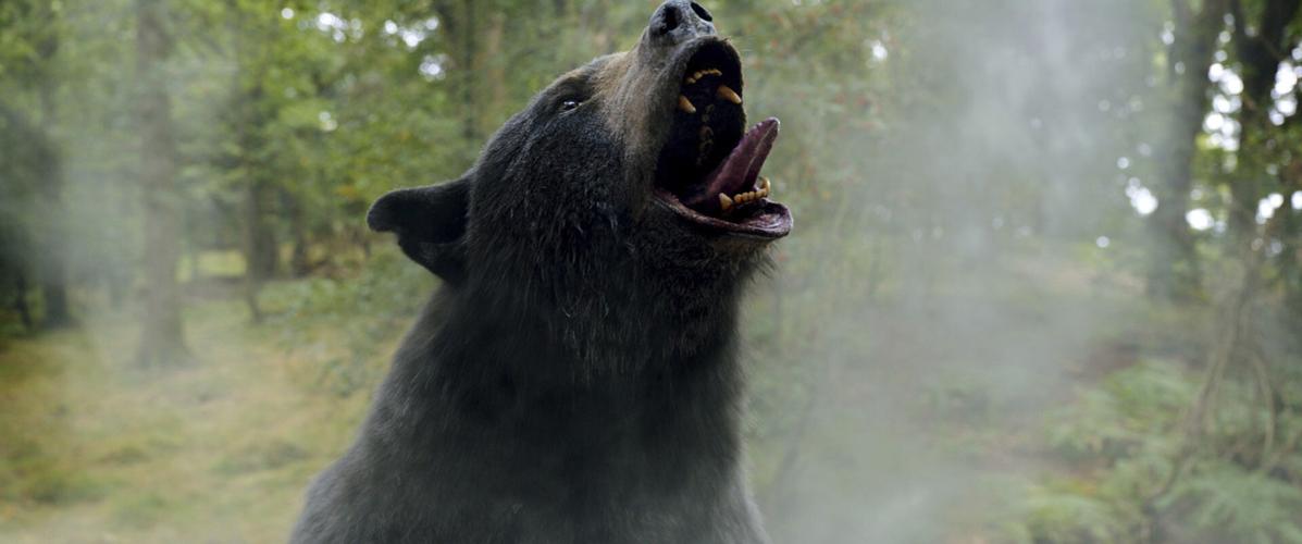 Film Review Cocaine Bear