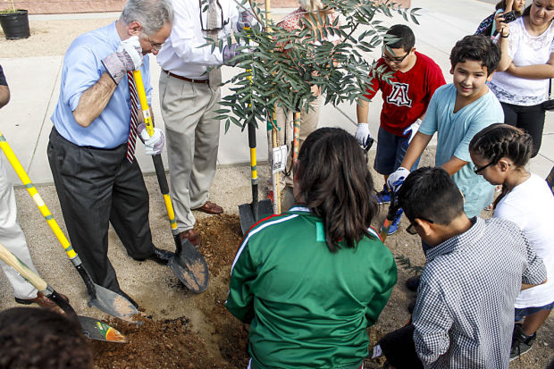 10,000 Trees Campaign