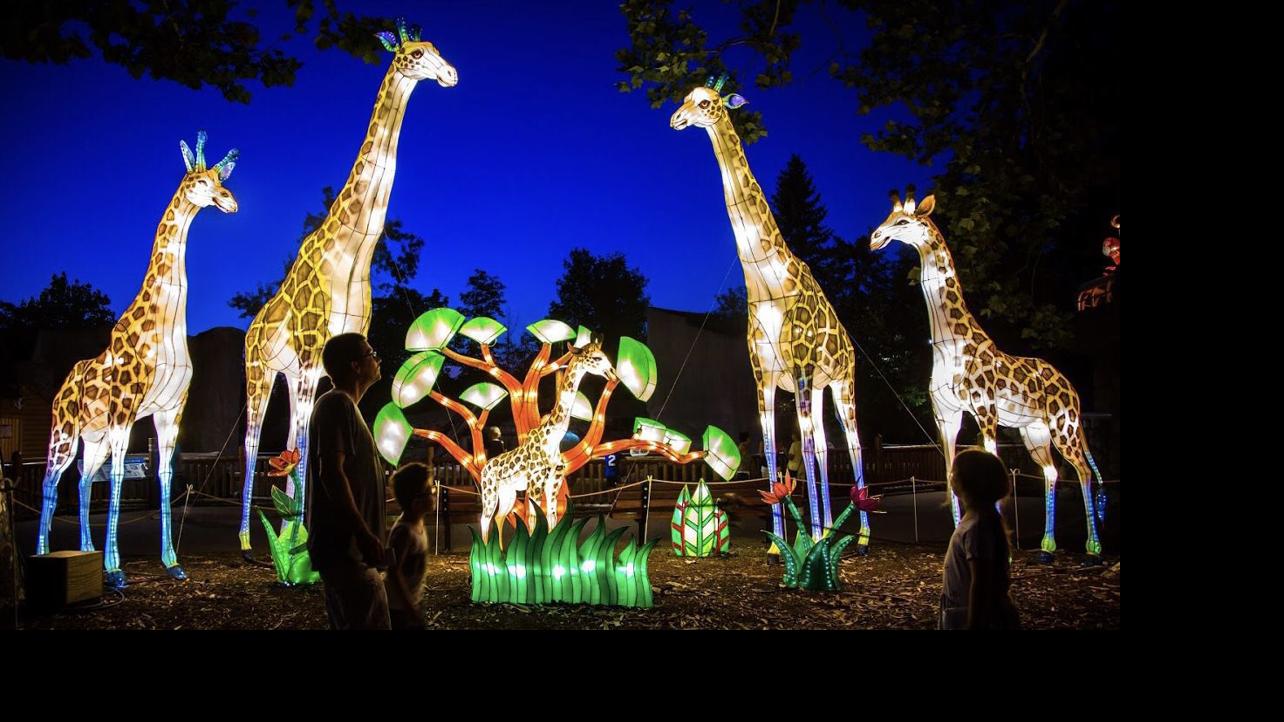 Watch: Asian Lantern Festival opens in Tucson this weekend | Home