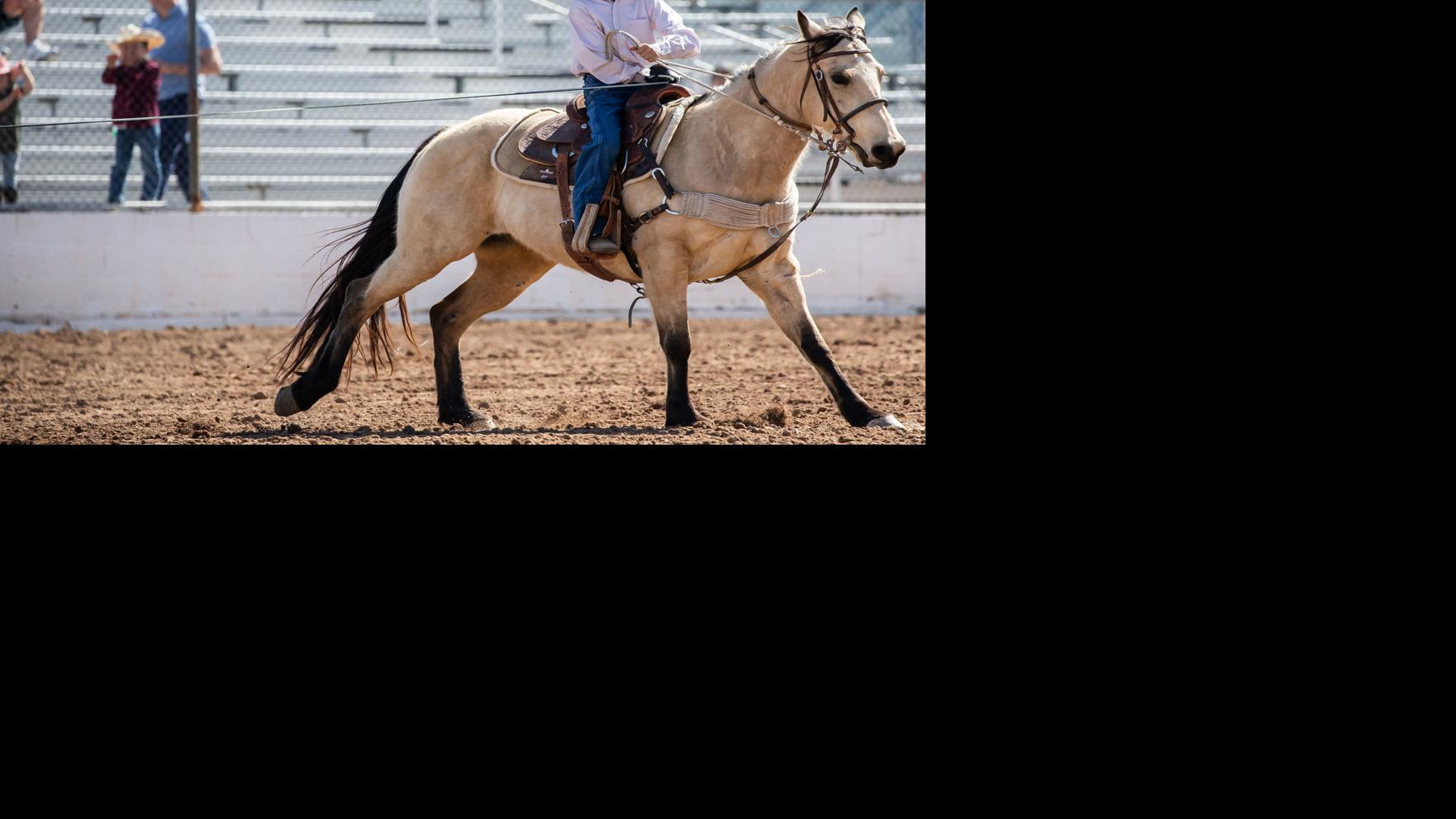 Southern Most Junior Calf Roping