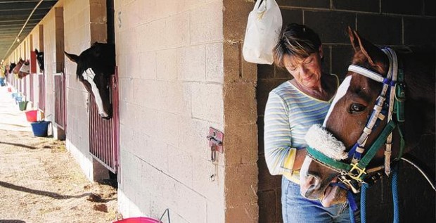 More fun when it's your horse racing  