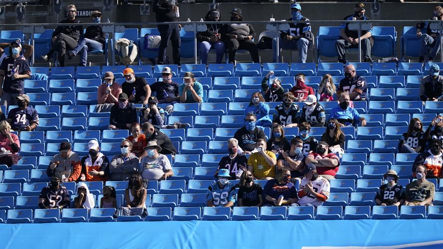 Bears Panthers Football