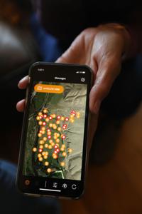 What ravens, dogs, sheep and grizzlies all have to do with a Big Hole ranch