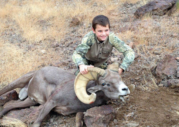 Young hunter's bighorn catch