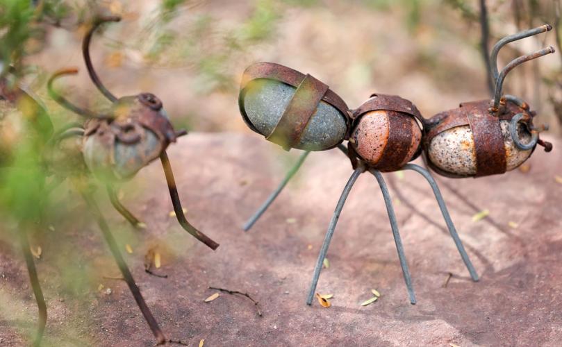 Tim Steller's column: Tucsonan pounds a life out of metal, horses, art