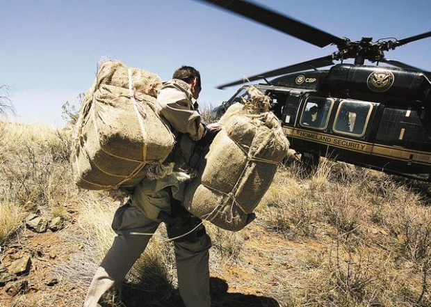 Bird's-eye border watch  