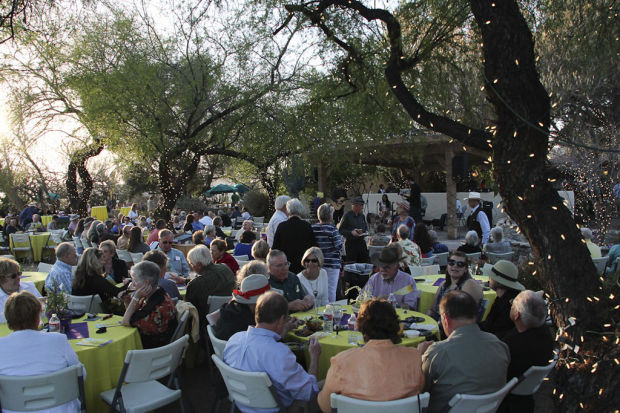 Sonoran desert wildflowers celebrated at Tohono Chul    