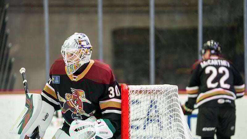 Tucson Roadrunners goalie Jaxson Stauber