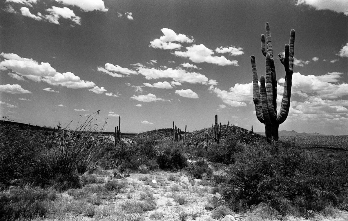 Rancho Romero (Catalina State Park)