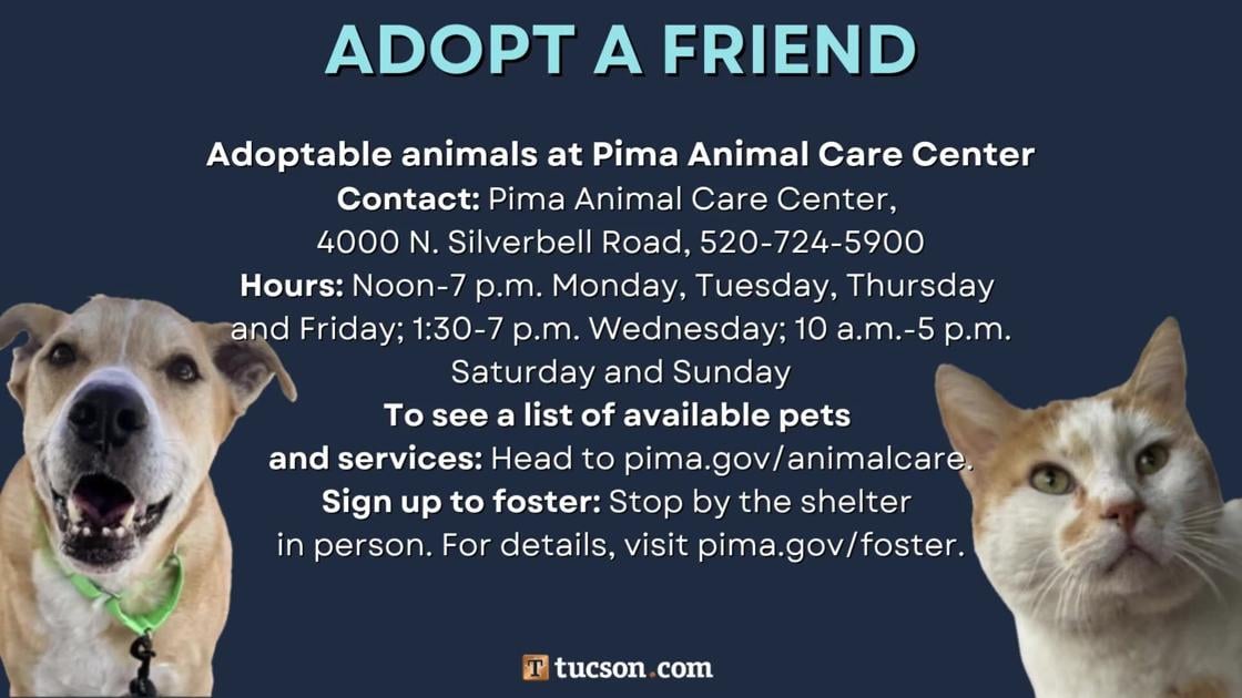 Adopt a friend: Local pets up for adoption for May 3