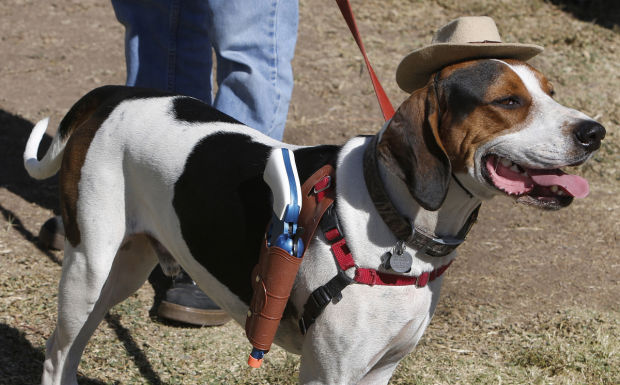 Photos: Dogtoberfest | Foothills | tucson.com