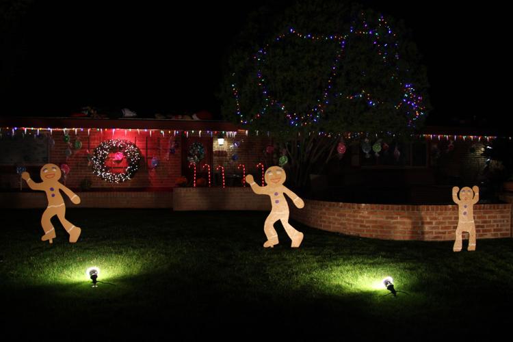 65th Annual Winterhaven Festival of Lights