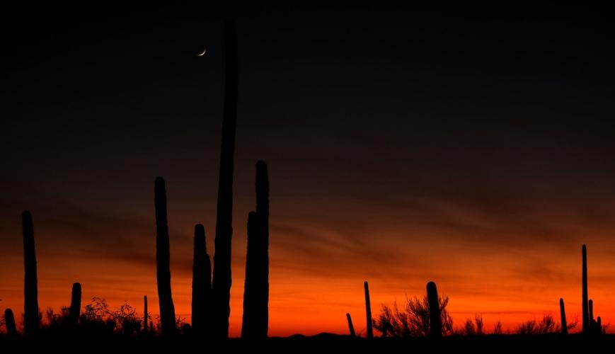 Tucson Speaks Out: February 11