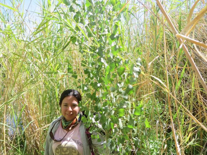 Colorado River Delta