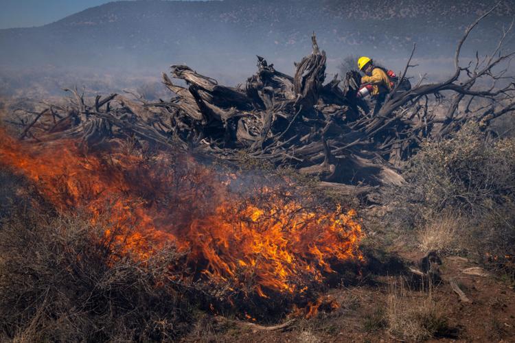 Massive Grand Canyon fire could sway wildfire tactics in Arizona
