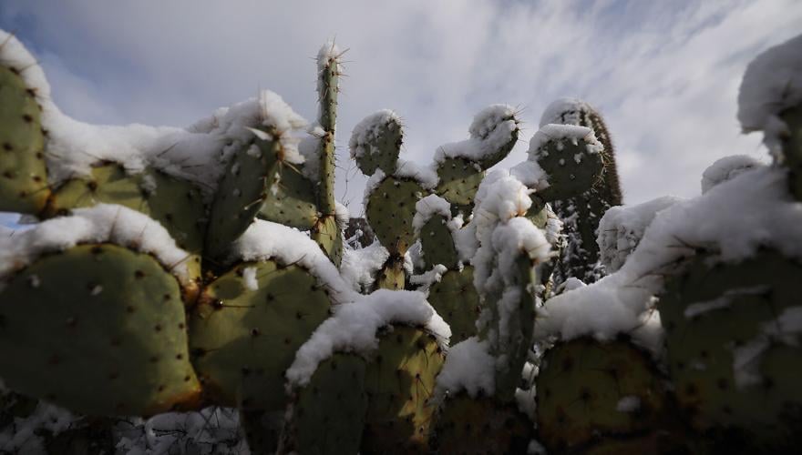 Snow, Tucson, 2023