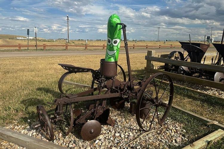 STURGIS-BUFFALO-CHIP-LOST-FOUND-2024-PICKLE-1.jpg