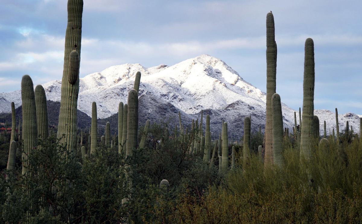 Snow on the Tucson Mountains