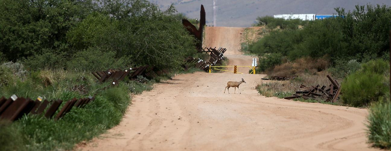 2016 Border Project: Arizona