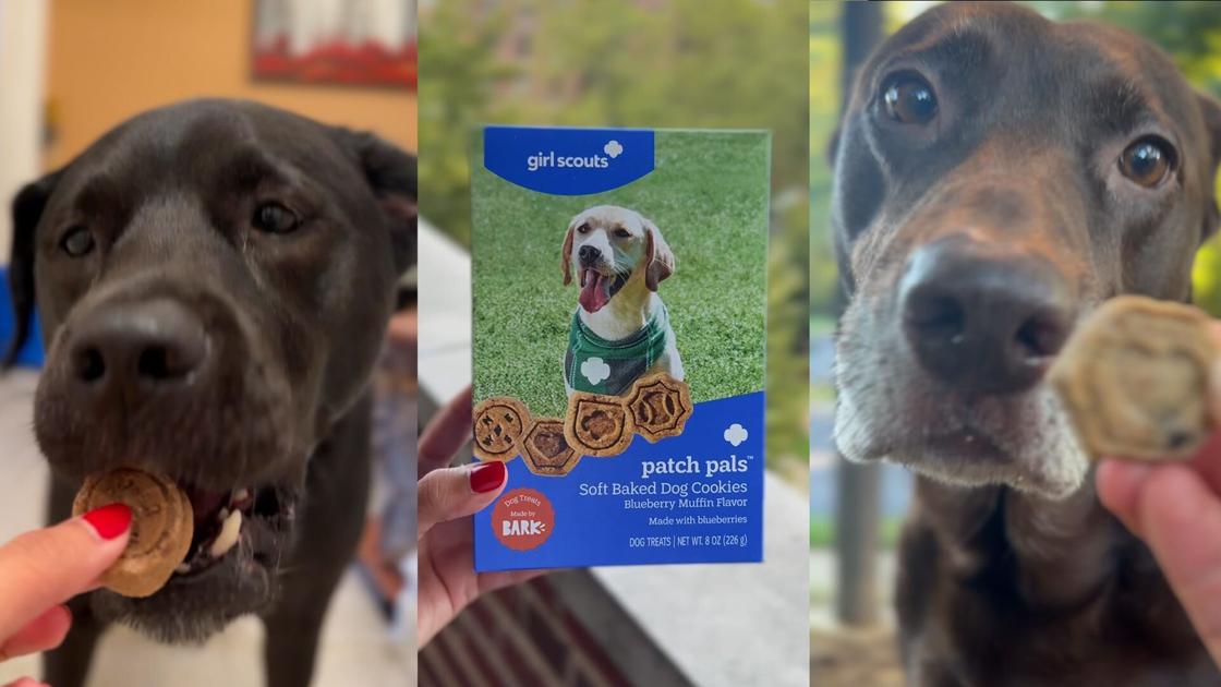 We tried Girl Scout's new cookies. See our (and our dogs') reviews