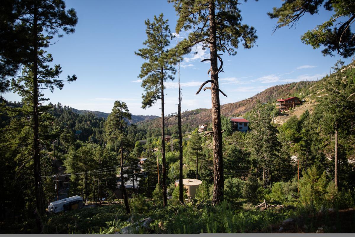 Mt Lemmon Special Events 2022