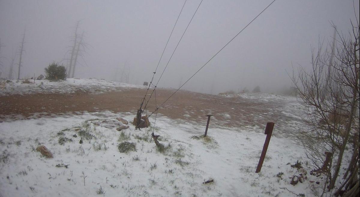 Snow on Mt. Lemmon