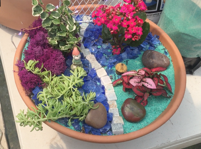 Dish garden from Green Things Nursery