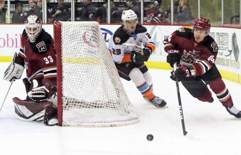 Roadrunners School Day