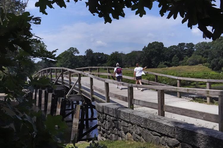 Revolutionary War Musket Balls
