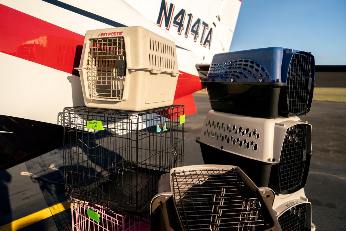 Pet Rescue Flights