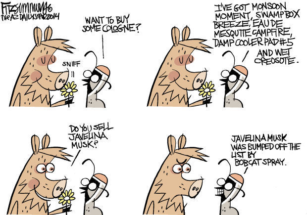 Last Laugh Fragrant desert