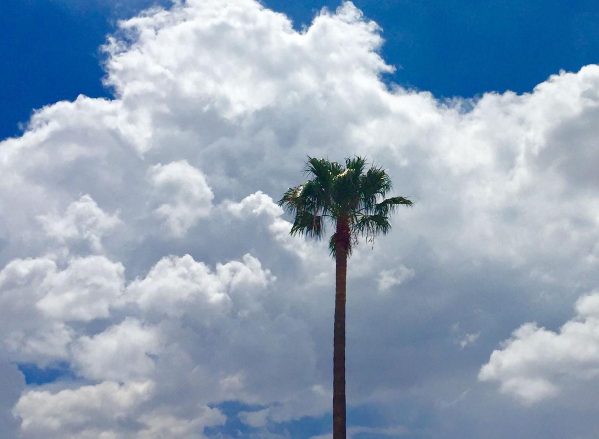 More rain in these clouds?