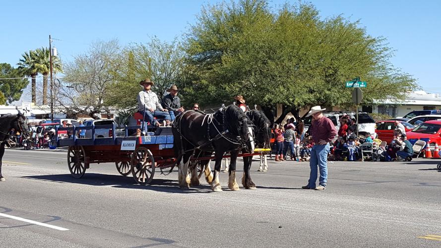 2017 Tucson Rodeo Parade entries