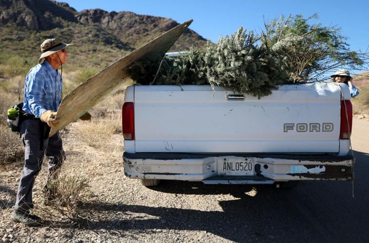 Desert restoration project