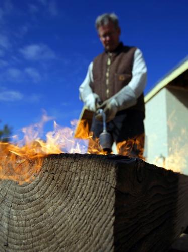 Want birds? Bats? Bees? Offer custom-made housing   