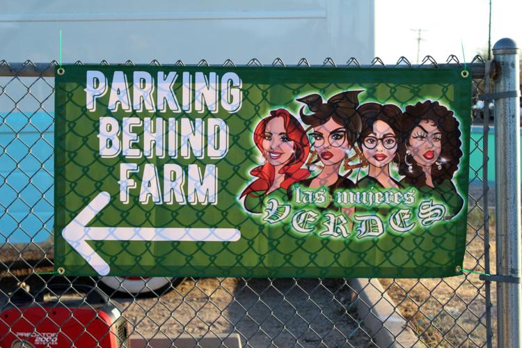 LMV Las Mujeres Verdes Mercado LE