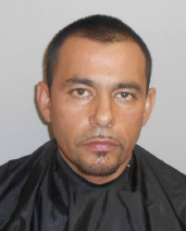 5 arrested, 2 tons of pot seized in SV bust