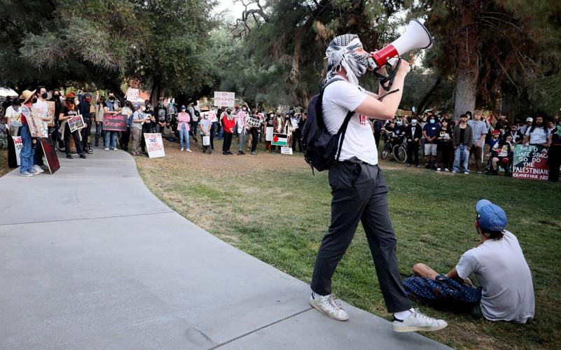 Pro-Palestinian protest