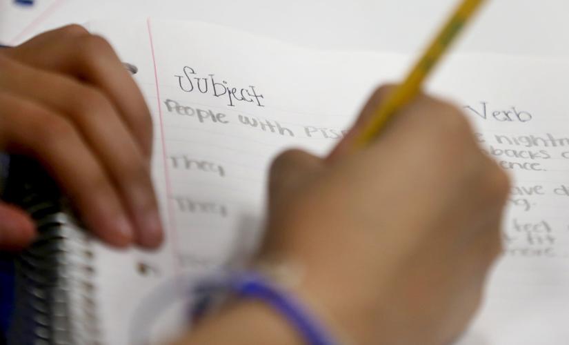 English language development classes in Arizona schools