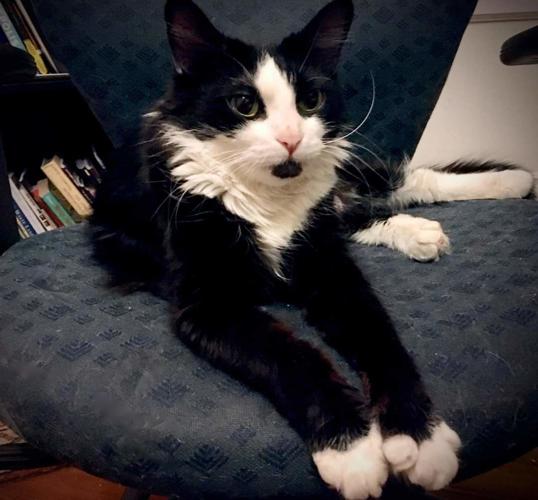 Adopt a friend: Yue