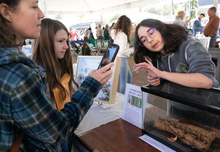 2023 Tucson Festival of Books